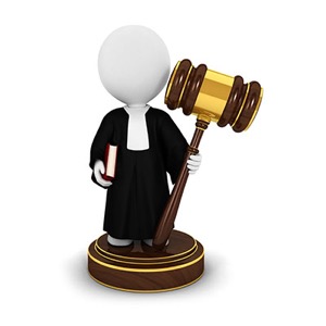 Litigation Process